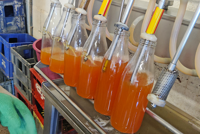 Festival des gourmands solidaires 1 5