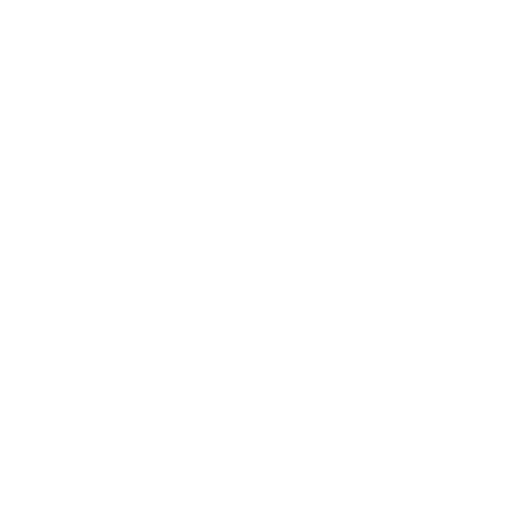 LOGO V03 noir